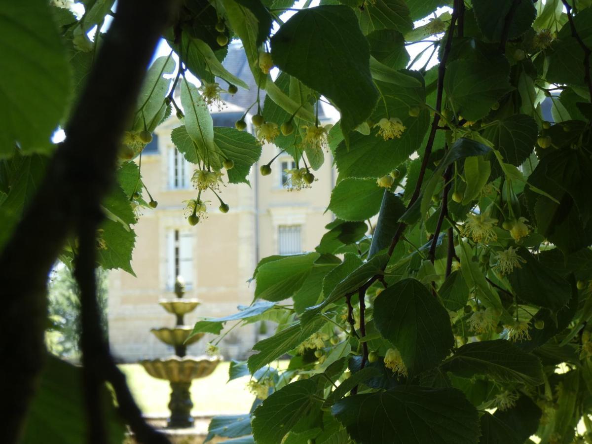فندق Chateau Marith - Etablissement Climatise Avec Piscine Clairac  المظهر الخارجي الصورة