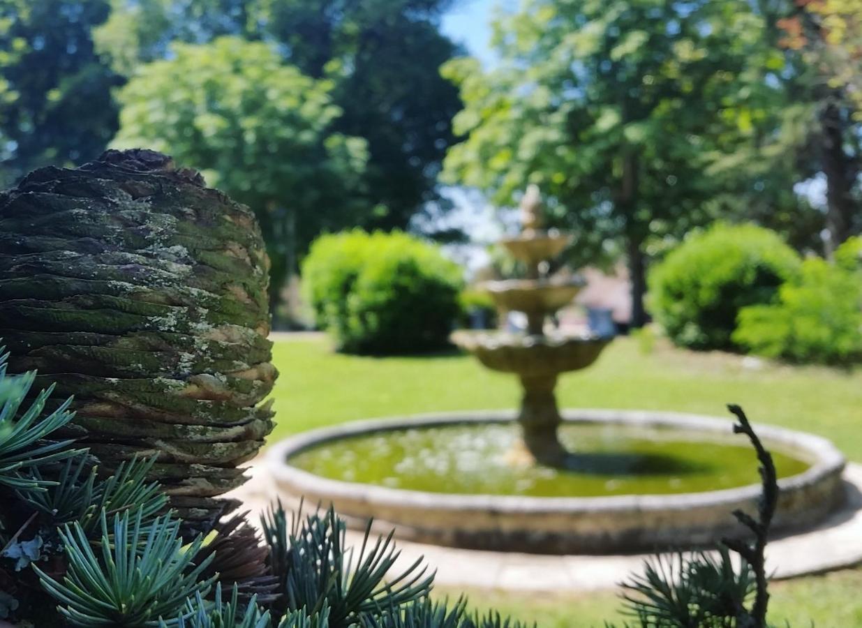 فندق Chateau Marith - Etablissement Climatise Avec Piscine Clairac  المظهر الخارجي الصورة